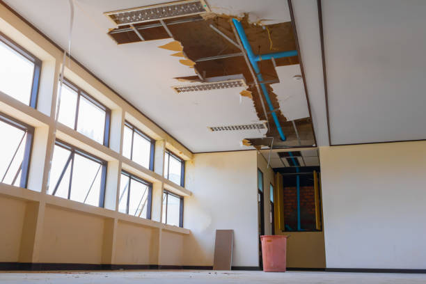 Best Commercial water damage restoration  in Hokes Bluff, AL