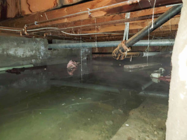 Best Ceiling water damage repair  in Hokes Bluff, AL