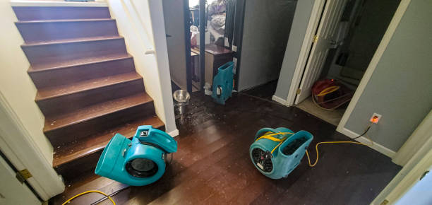 Best Water damage cleanup near me  in Hokes Bluff, AL