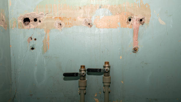 Best Mold removal after water damage  in Hokes Bluff, AL