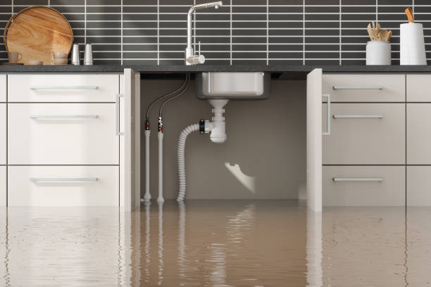  Hokes Bluff, AL Water damage restoration Pros