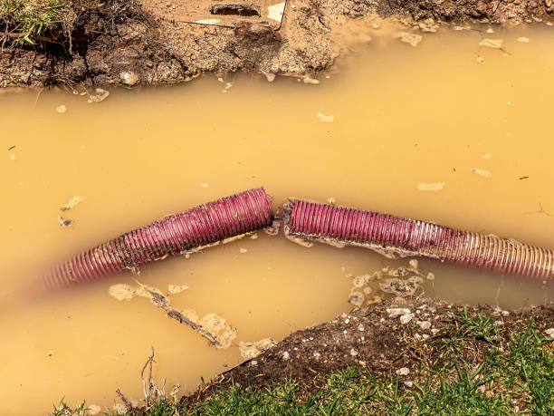 Carpet water damage restoration in Hokes Bluff, AL