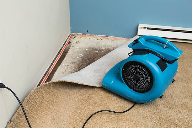 Best Sewage cleanup and water damage restoration  in Hokes Bluff, AL